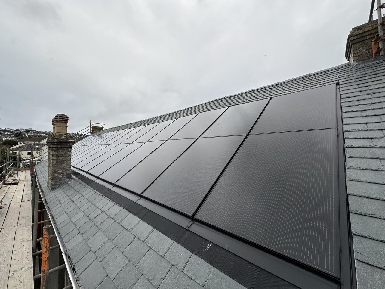 IMG_4449 2 Large.jpeg