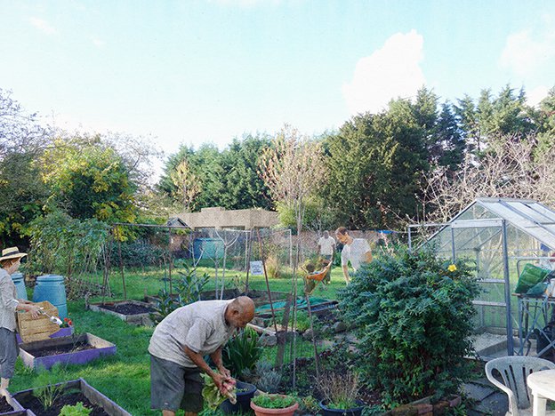 Over wall from allotmentLOWERcompress.jpg